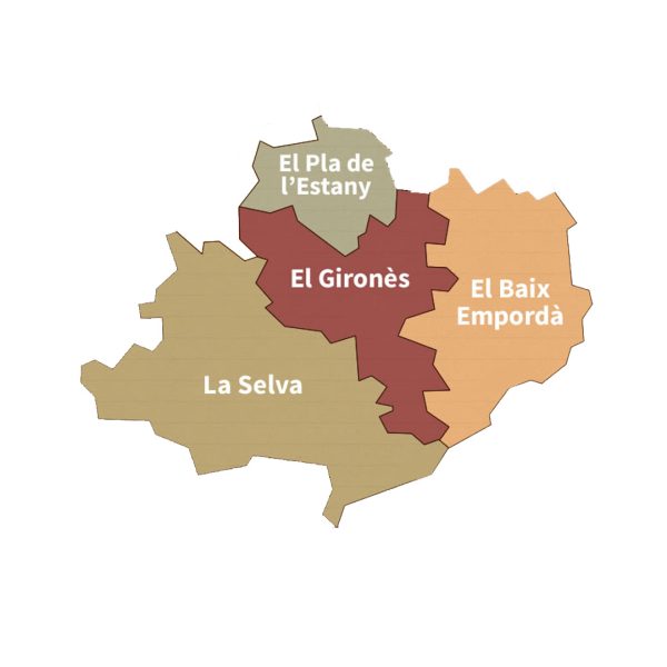 Sin título-1